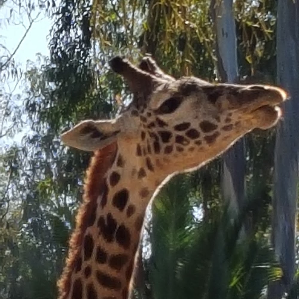 Meet your Posher, Tracy